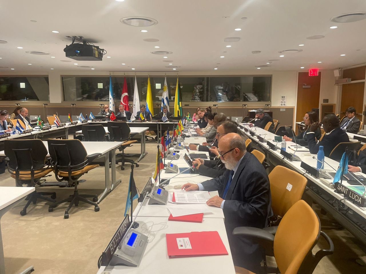 Viceministro Molina: América Latina y el Caribe están decididos a defender su soberanía