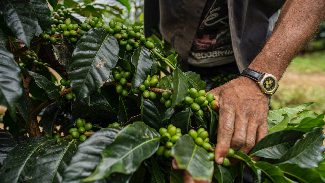 Venezuela consolida milagro económico y lidera el crecimiento en la región con una expansión del 9 % en 2025